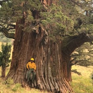 Meet your Posher, Samuel